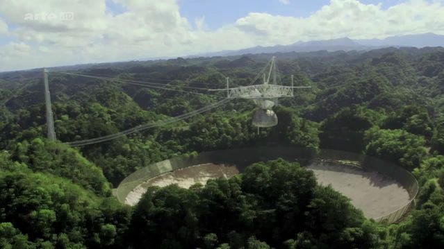 arecibo un telescope dans la jungle