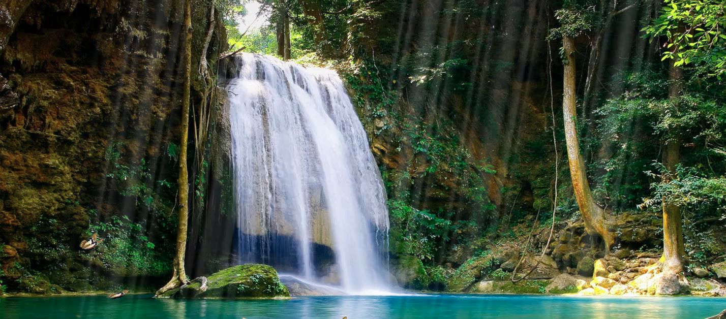 documentaires-toniques